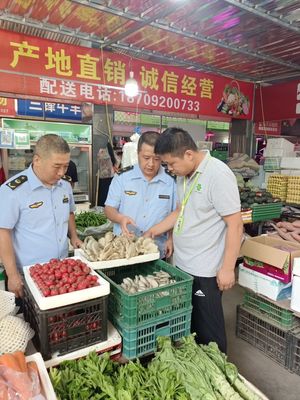筑牢安全防線，守護舌尖健康——區(qū)市場監(jiān)管局全面開展市場銷售蘑菇風險排查專項行動